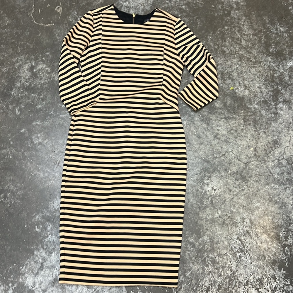 The Limited Striped Dress